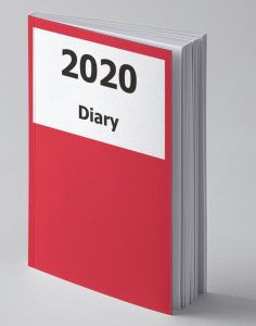 Image of 2020 Large Print Red Diary