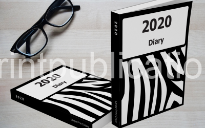 2020 Diaries – Plain and Simple. Never Boring!