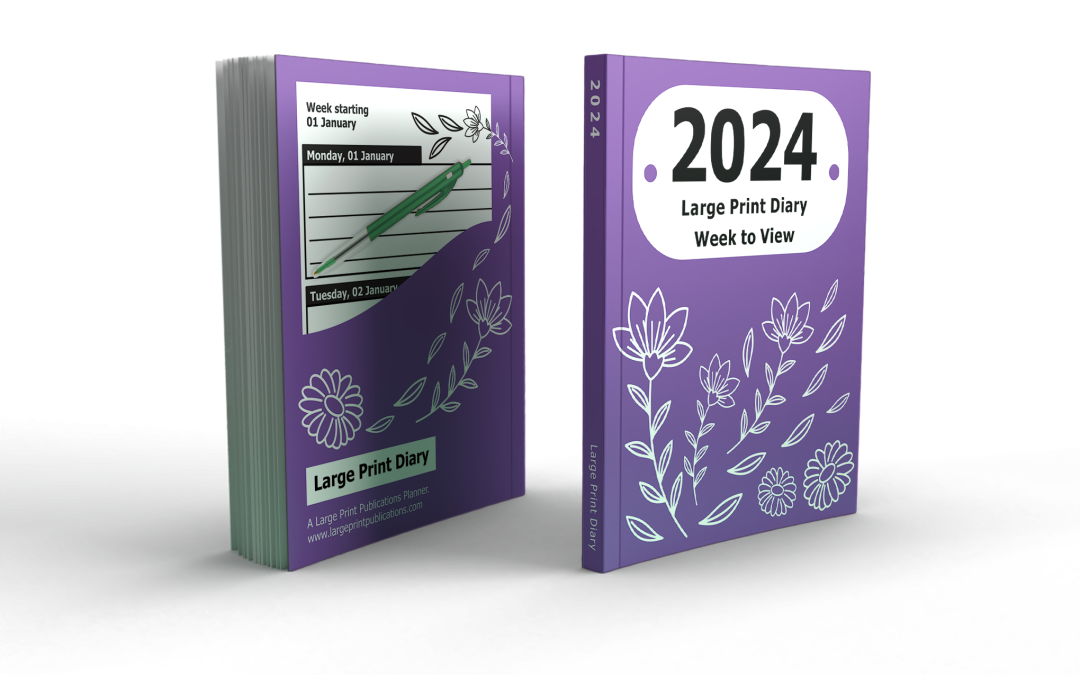 2024 Diaries on Amazon