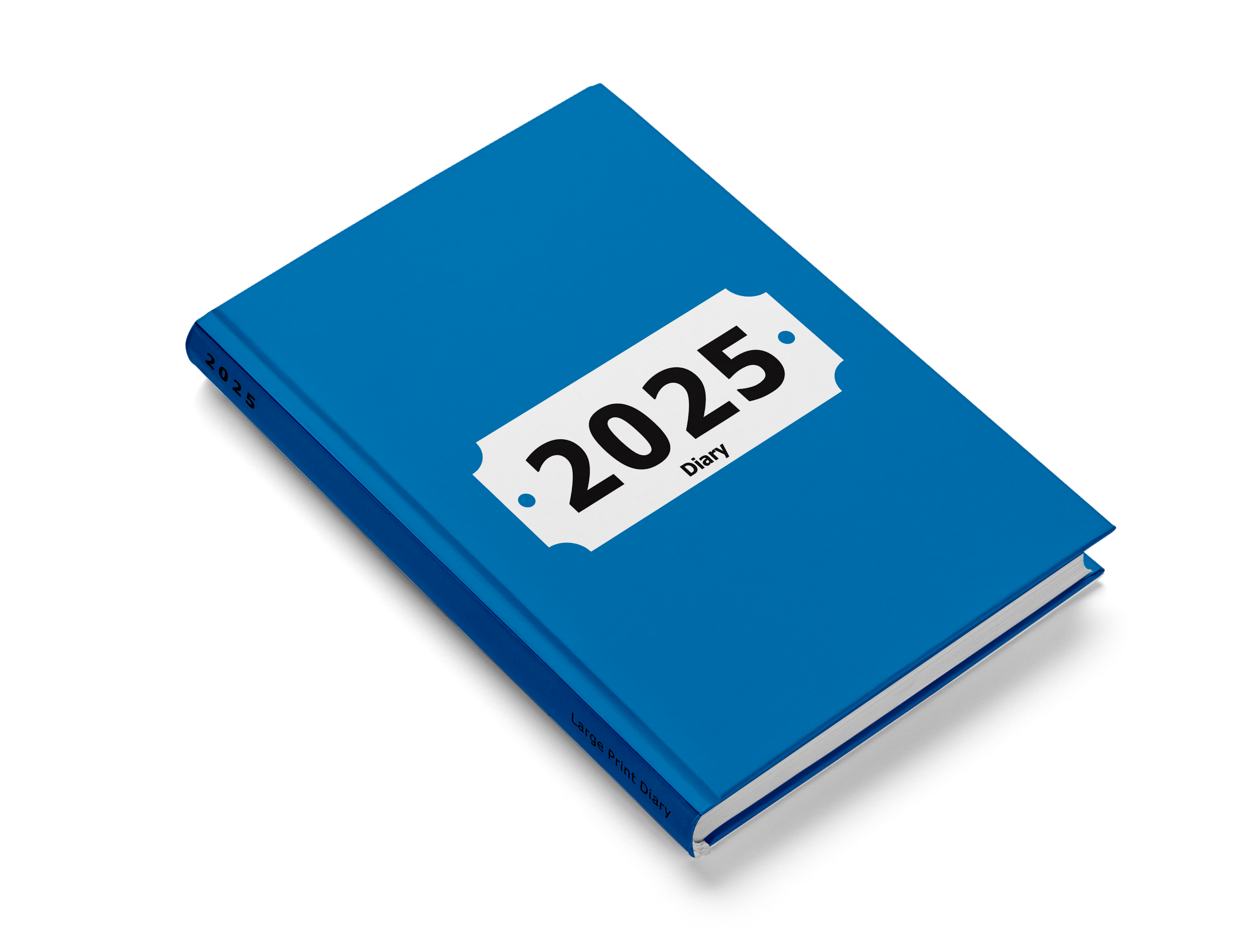 2025 large print weekly diary