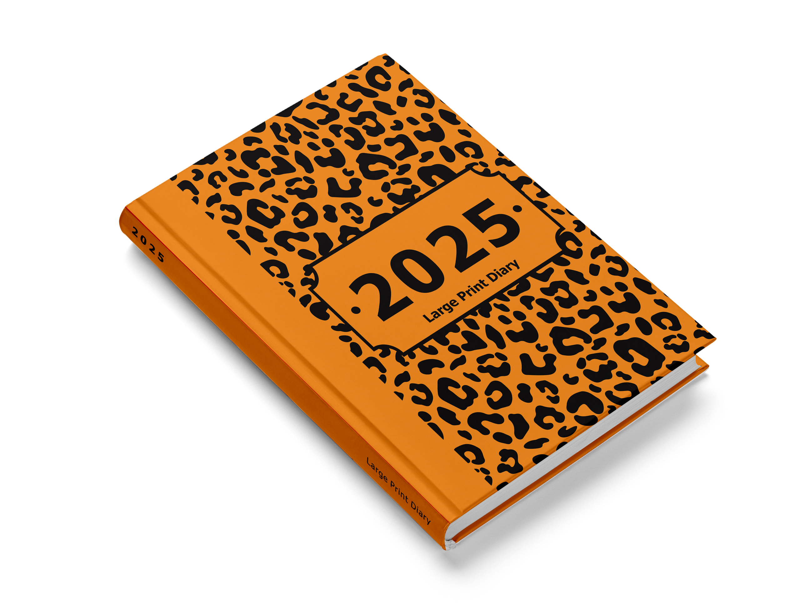 2025 large print weekly diary