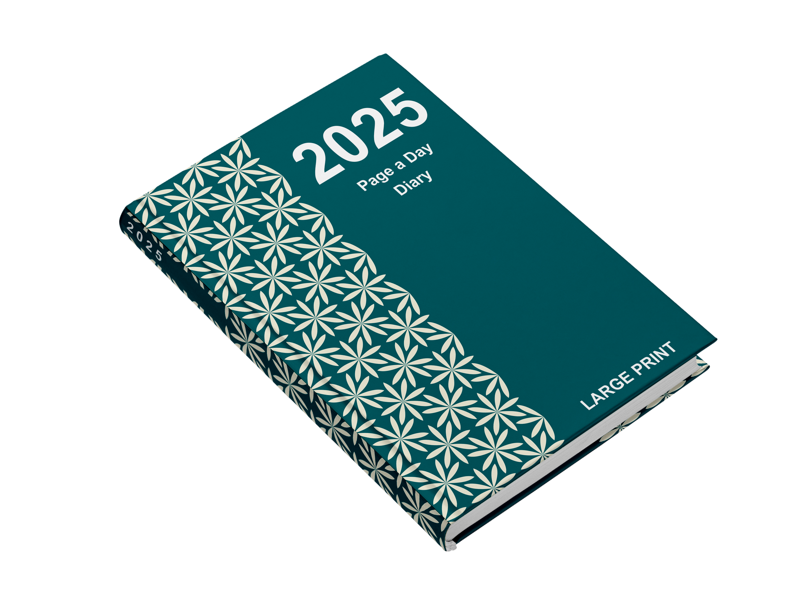 2025 large print page a day diary