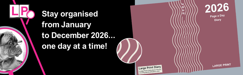 2025 large print page a day diary