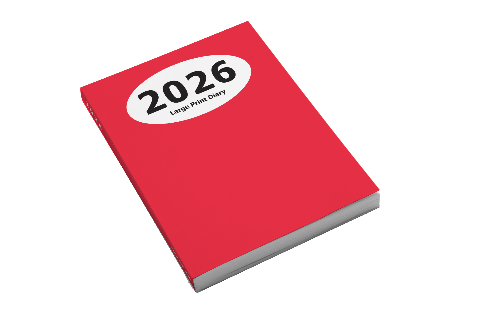 2025 large print weekly diary