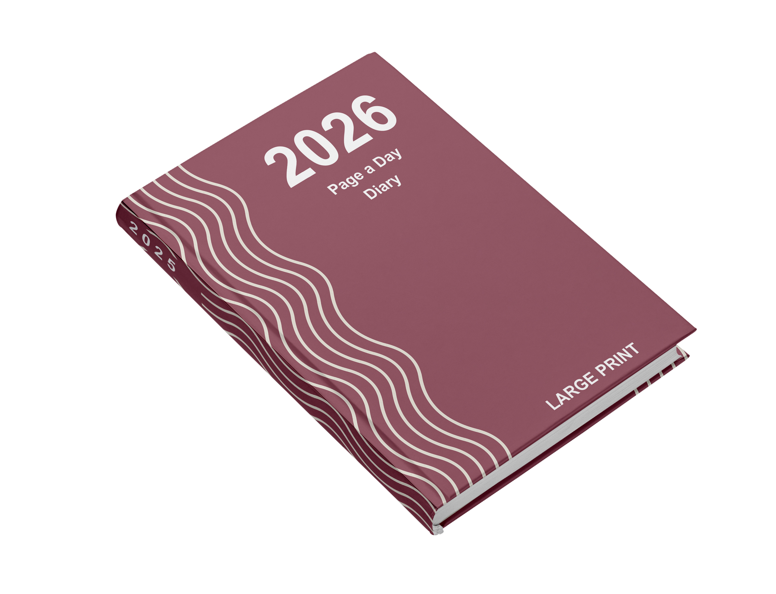 2025 large print page a day diary