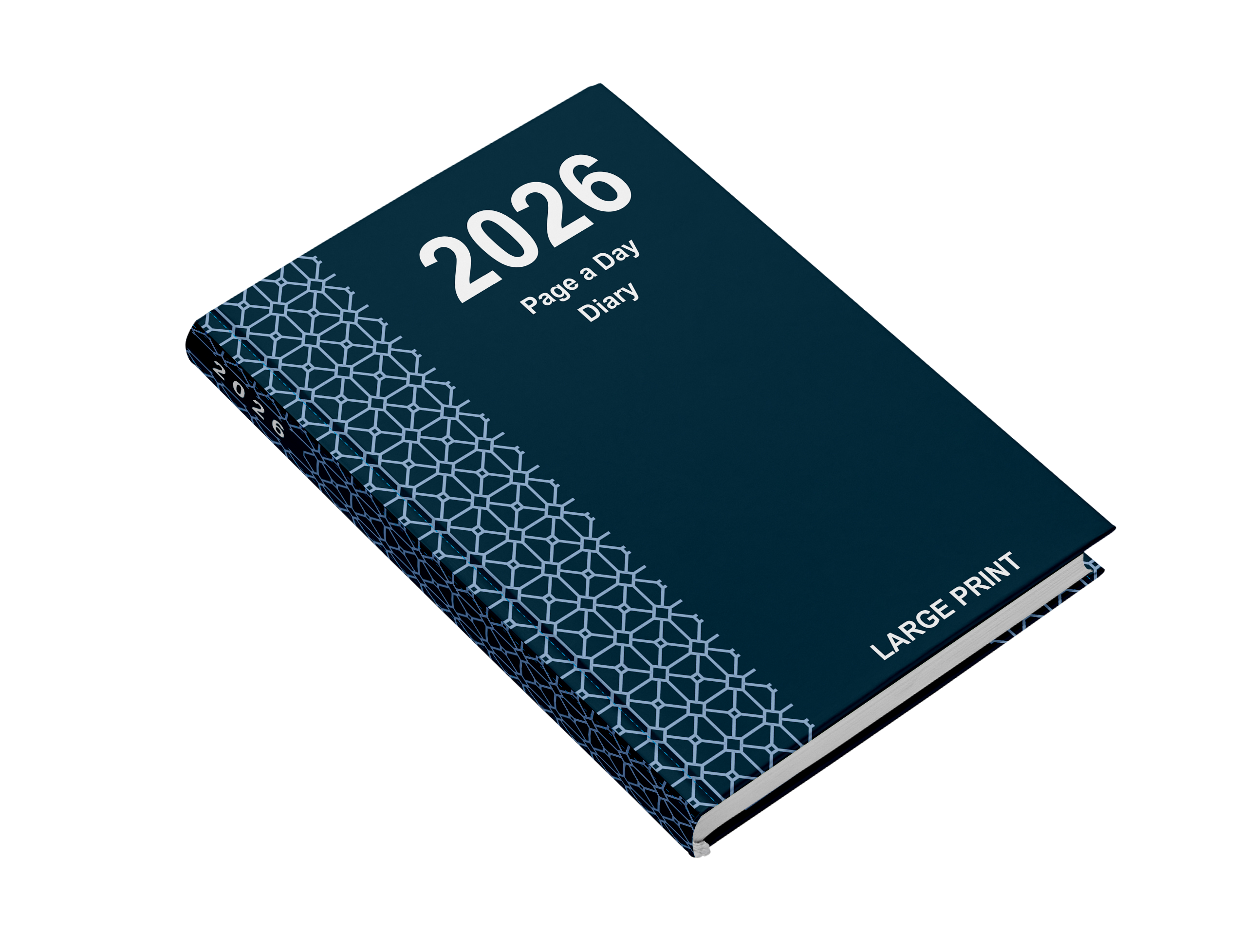 2025 large print page a day diary